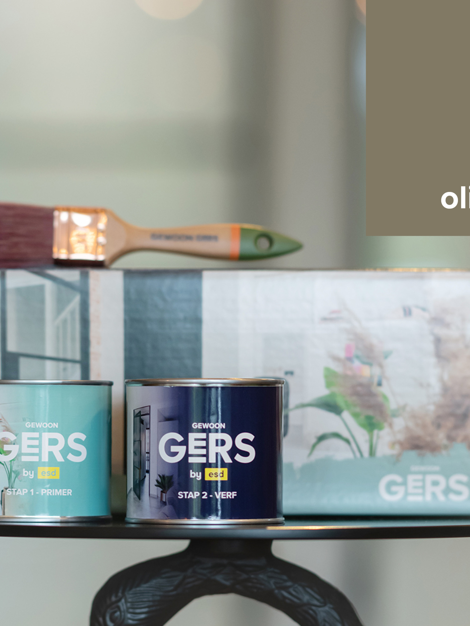 GewoonGers verfset olijfgroen